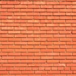 wall